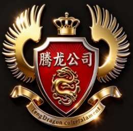 腾龙公司logo